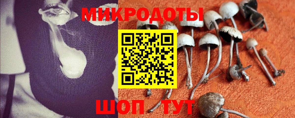 Долгопрудный  Галлюциногенные грибы прущие грибы  Вход с VPN  Галлюциногенные грибы прущие грибы 